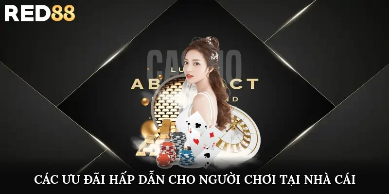 Các ưu đãi hấp dẫn cho hội viên tại nhà cái