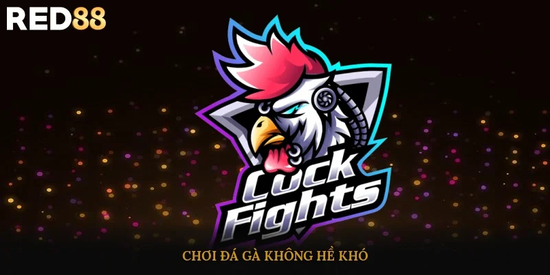 Chơi đá gà không hề khó